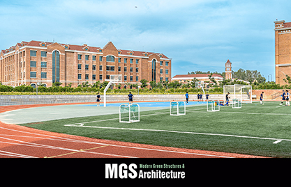 MGS Architecture Article